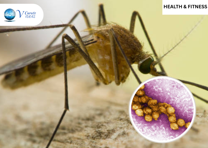 West Nile Virus Cases Surge to 771 Across 39 States as Mosquito Season Continues